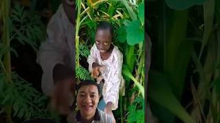 funny realfoolscomedy surajroxfun surajroxfunny surajroxfunnyvibe vikramcomedyvideo realfools [upl. by Htelimay]