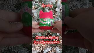 Opening another Christmas Mystery Squad Squishmallow🎄squishmallowschristmassurprisemysterytoy [upl. by Aivon]