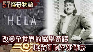 【精選】改變全世界的醫學奇蹟 海拉細胞不死傳奇【57怪奇物語】57StrangerThings [upl. by Claudelle594]