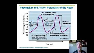 Bio 202 Week 2 Highlights Heart [upl. by Calmas]