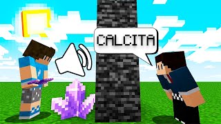 ADIVINHANDO BLOCOS do MINECRAFT 117 pelo SOM [upl. by Elnora]