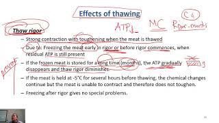 C610 thawing  principles and effects Meat Technology [upl. by Yraht]