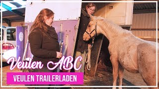 VeulenABC  Voor het eerst trailerladen met een veulen [upl. by Valda65]