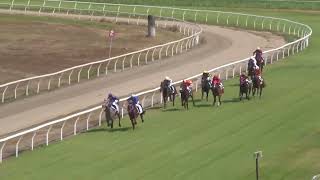 Burdekin 04112023 Race 2 [upl. by Oravla]