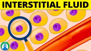 Interstitial Fluid Medical Definition  Quick Explainer Video [upl. by Pickford897]