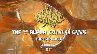 COW HUMPS  Hyperplasia Visualizer  TNF α  Slamming Brutal Death Metal 2024 [upl. by Carri]