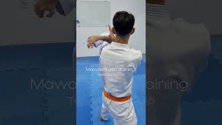 Mawashigeri training shorts martialarts karate shotokan [upl. by Nnylyaj]