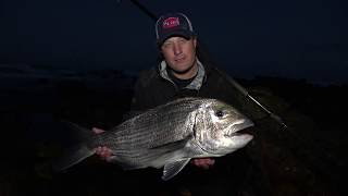 How to catch a mussel cracker  Alikreukel Giant Turban Bait [upl. by Faustena]