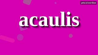 ACAULIS  HOW TO PRONOUNCE IT [upl. by Liddy709]