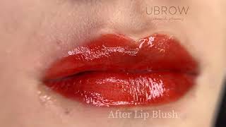 Watercolor Lip Blush  Semipermanent Lip Tattoo [upl. by Candida]