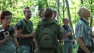 Veluwe overspoeld door vogelspotters de withalsvliegenvanger is er [upl. by Einhpad]