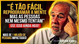 USE ISSO E REPROGRAME SUA MENTE ENQUANTO VOCÊ DORME  Dr Bruce Lipton [upl. by Hgielrebma30]