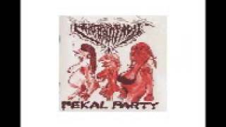 Hermaphrodit Fekal Party 1998 [upl. by Bohaty317]