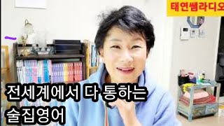 세계여행 술집영어 자리잡기 주문 결제 등 이거면 끝 feat 미국 캐나다 노르웨이 술집 라이브 영상 [upl. by Gerhardt]