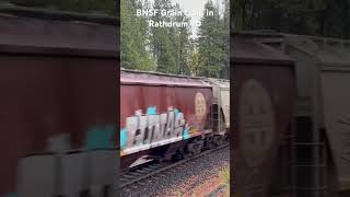 BNSF Grain train rolls by on a rainy day in Rathdrum ID bnsf train [upl. by Cristal151]