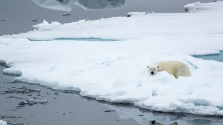 14Day Spectacular Svalbard amp Greenland [upl. by Kavanagh]