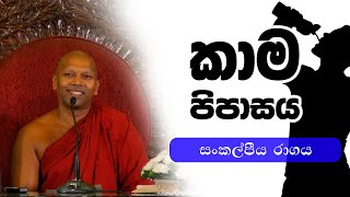 කාම පිපාසය  Ven Handapangoda Nivathapa Himi [upl. by Toni]