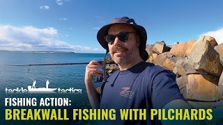 Breakwall Fishing with Pilchards for Tailor Australian Salmon and Flathead [upl. by Leumel]