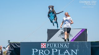 Team Sydfire Taking 5th Place at the Purina Pro Plan Incredible Dog Challenge in the Distance Jump [upl. by Valaree193]