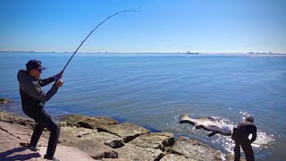 Landing MASSIVE Fish At The Texas City Dike Big Fish Season is HERE [upl. by Ffoeg]