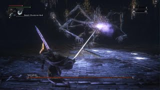 Bloodborne  Amygdala boss Defiled Chalice [upl. by Artemed725]