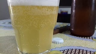 Witbier Cerveja Berro [upl. by Putnem]