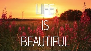 Life is BEAUTIFUL  Inspirational Video [upl. by Ysnat]