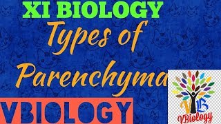 Types of parenchyma tissue  XI BIOLOGY  ENTRANCE  NEET  AIIMS [upl. by Raamal]