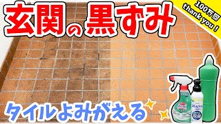 【玄関掃除】タイルの黒ずみ ごっそりサヨナラ。ラクラク落とすにはどの洗剤がいいの？ [upl. by Nihahs]