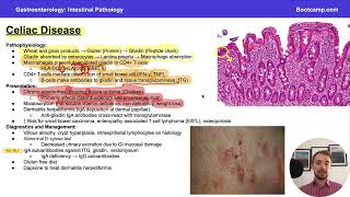 Celiac Disease for Step 1  Gastroenterology  Med School Bootcamp [upl. by Croydon]