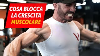 5 fattori che bloccano la CRESCITA MUSCOLARE [upl. by Aekahs217]