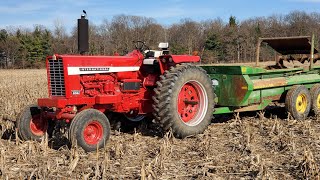 Farmall 856 spreading composted manure [upl. by Japeth]