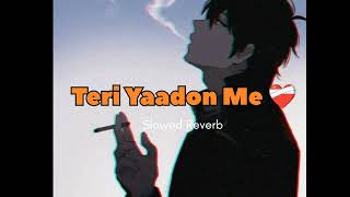 Teri Yaadon Me khoya Rhta hu Slowed Reverb Sad Song 💓🌹 [upl. by Ylen]