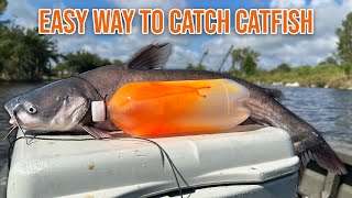 Easy Way to Catch CATFISH for Dinner CATCH AND COOK [upl. by Aitnohs]