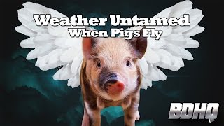 Weather Untamed  Episode 1  When Pigs Fly [upl. by Oramlub]