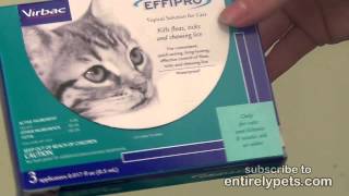 Virbac Effipro for Cats [upl. by Xena]