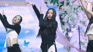 4K 231011 트리플에스 김채연 tripleS EVOLution Rhodanthe  쇼케이스 직캠 fancam [upl. by Charron]