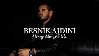 Besnik Ajdini  Harroj ditët që ti fala COVER [upl. by Einwahr856]