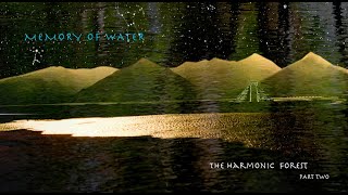 The Harmonic Forest Part 2 Memory of Water The Harmonic Harmonic Forest Part 2 Memory of Water [upl. by Dlanod927]