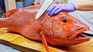 Sharp Teeth！Red Snapper Fish Cutting Skills Port Fish Auction Market  尖銳的牙齒！紅糟魚切割技巧 烤魚下巴  台灣美食 [upl. by Seitz]