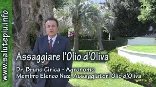 Come Assaggiare lOlio dOliva  Bruno Cirica [upl. by Lanny514]