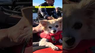 Group paddle to Drottningholm in Stockholm Inflatable foldable kayak amp packraft [upl. by Levona]