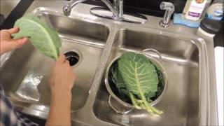 How to Clean Collard Greens [upl. by Yrdua559]