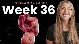 36 Weeks Pregnant  Week By Week Pregnancy [upl. by Acirederf994]