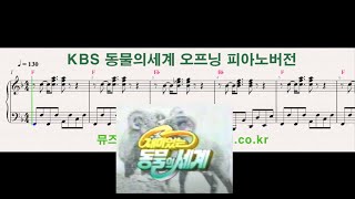 KBS 동물의세계 오프닝 피아노 편곡 악보 [upl. by Ainatit]