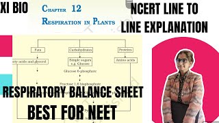 XI bio  Respiratory balance sheet amp Amphibolic pathway [upl. by Ihcas]