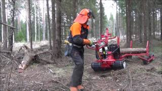 Järnhästen Skogens mångsysslare Jagamedhasse [upl. by Aihsel]