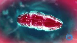 Microcurrent Explained  BioTherapeutic [upl. by Htezzil]