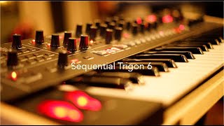 Sequential Trigon 6 A Beautiful Instrument [upl. by Pendleton]