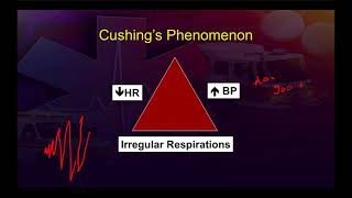 TBI Pathophysiology for Paramedic [upl. by Alaham]